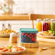 Freezer Fit Container 750ml
