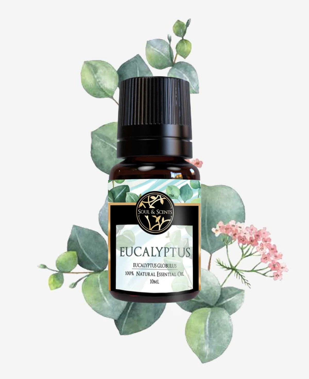 Soul & Scents Eucalyptus Essential Oil - 10ML